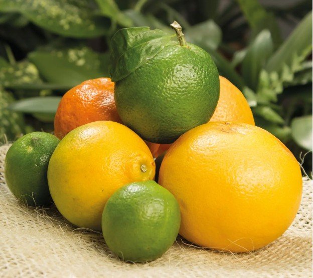 Citricos (Naranja, limon y mandarina) 